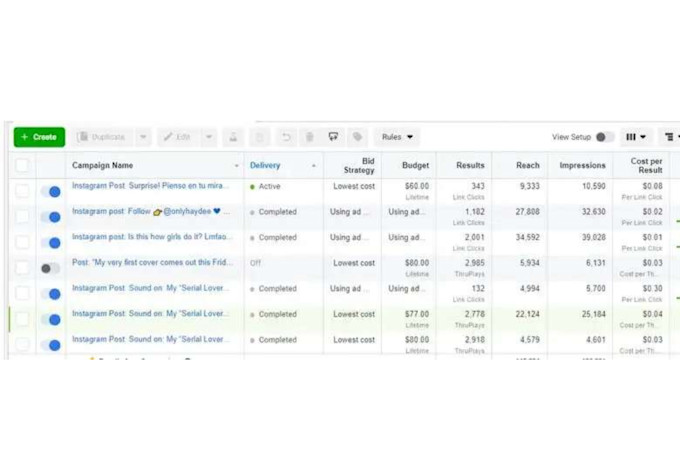 setup and manage high converting facebook and instagram ads